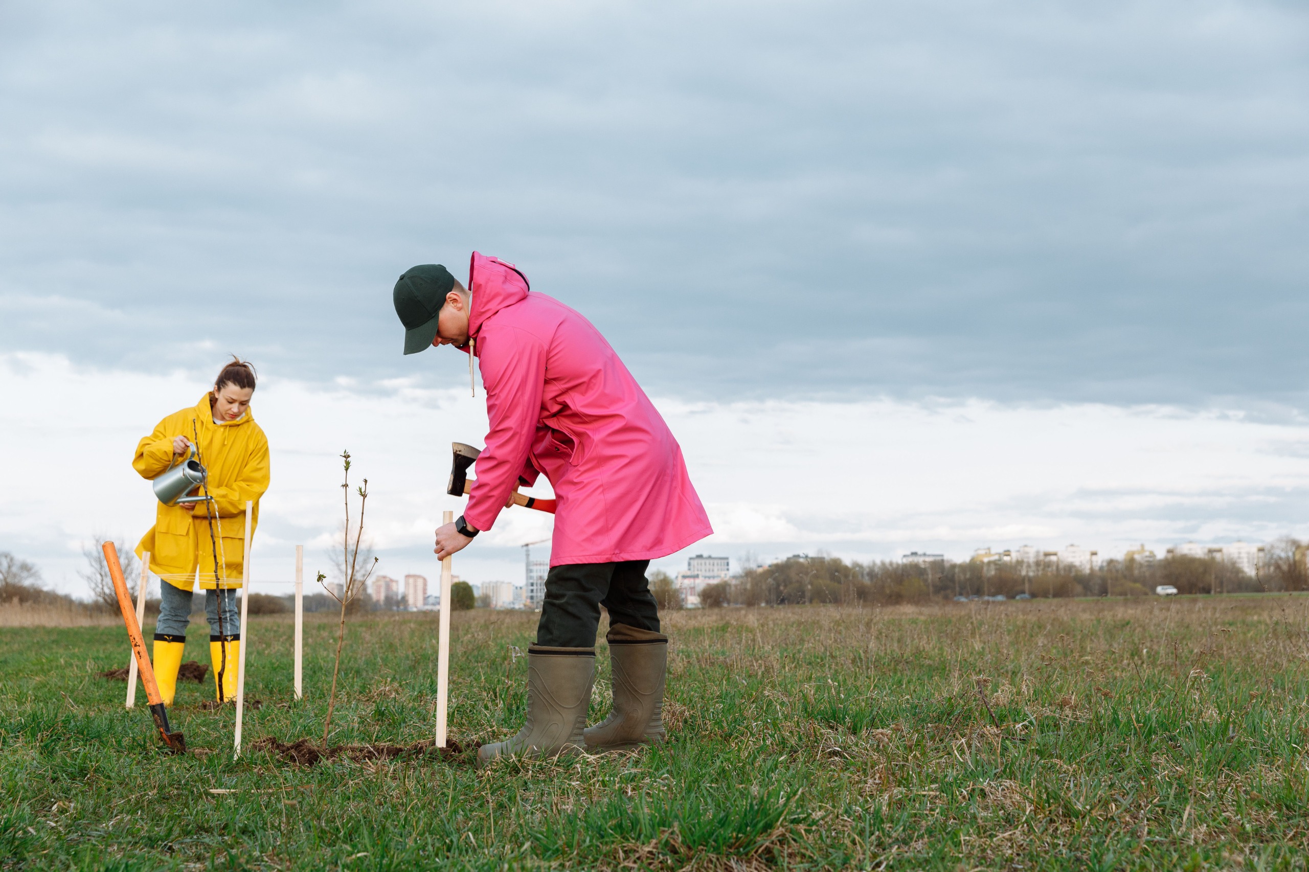 Tree Planting