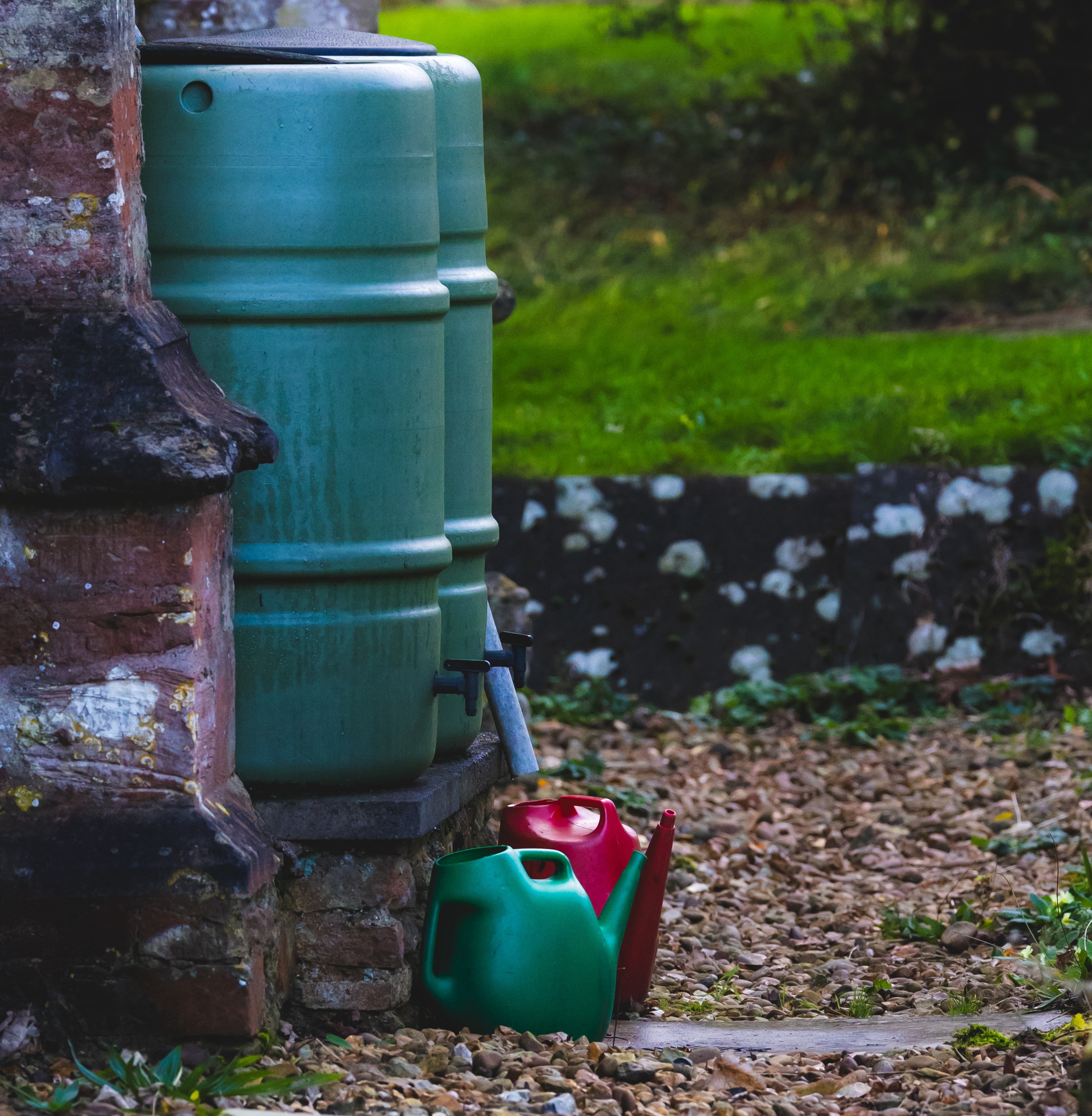 Rain Barrel
