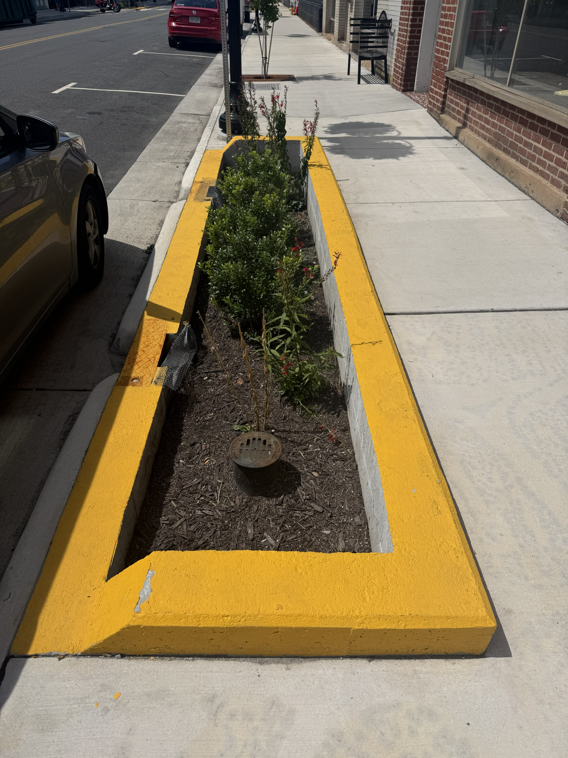 Planter Box