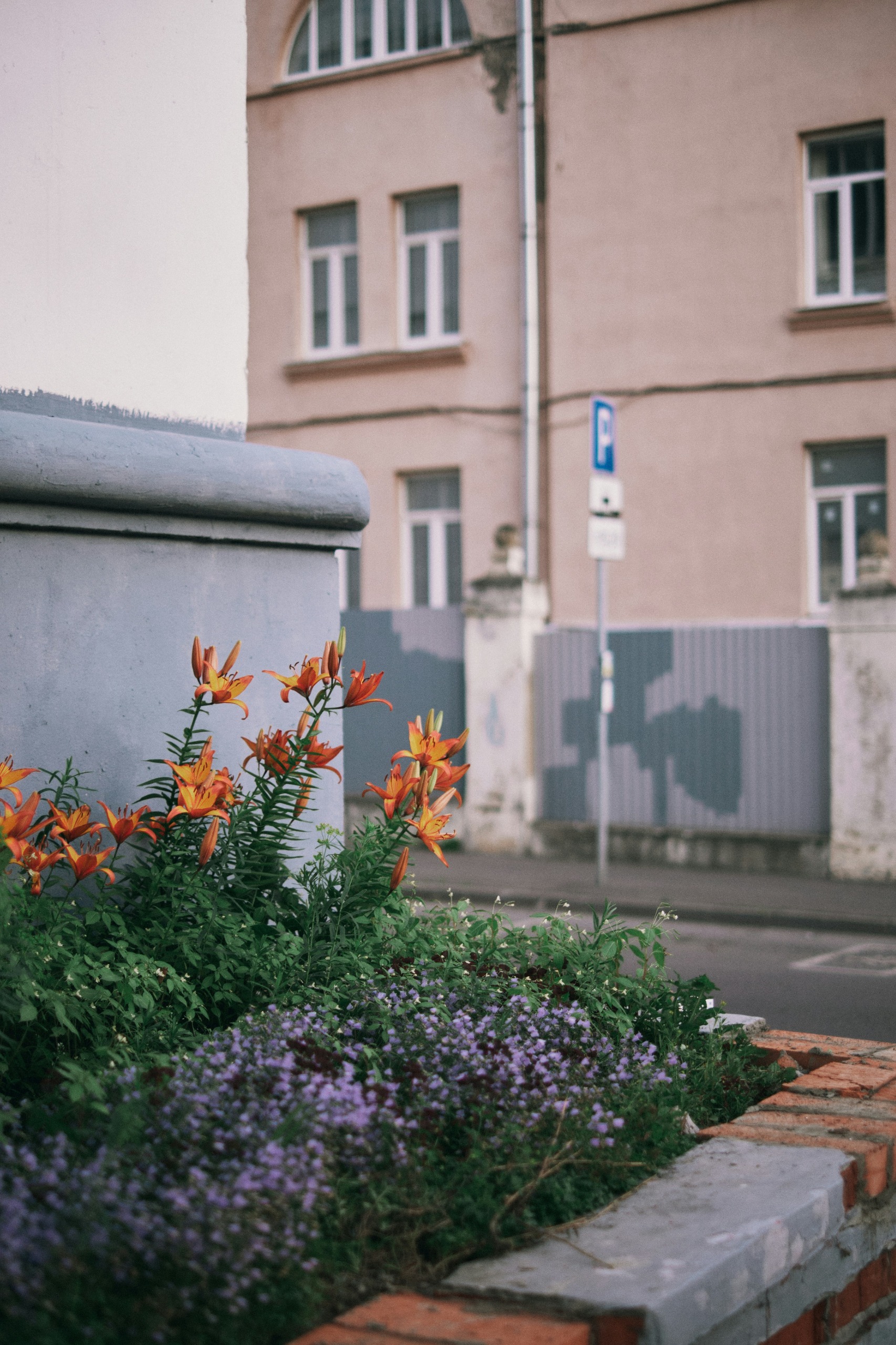 Planter Box 2